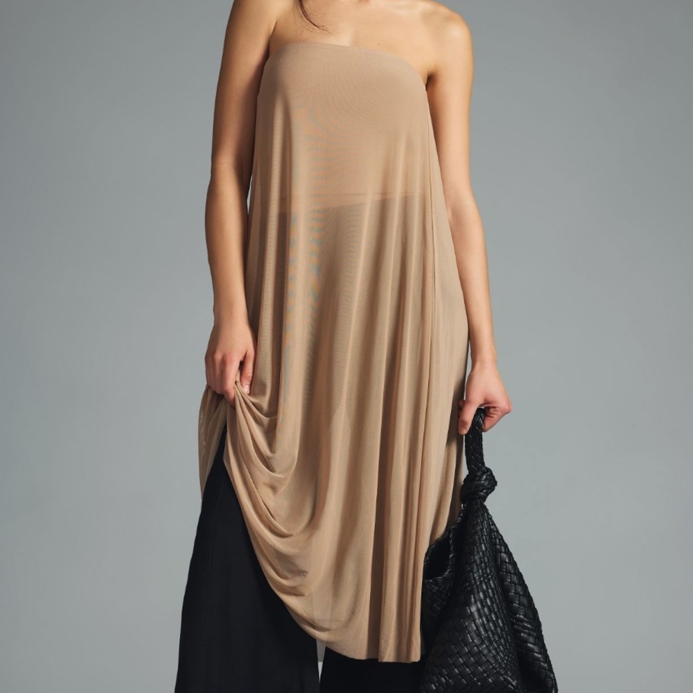*Anthropologie DOLAN Sheer Mesh Tube Top
